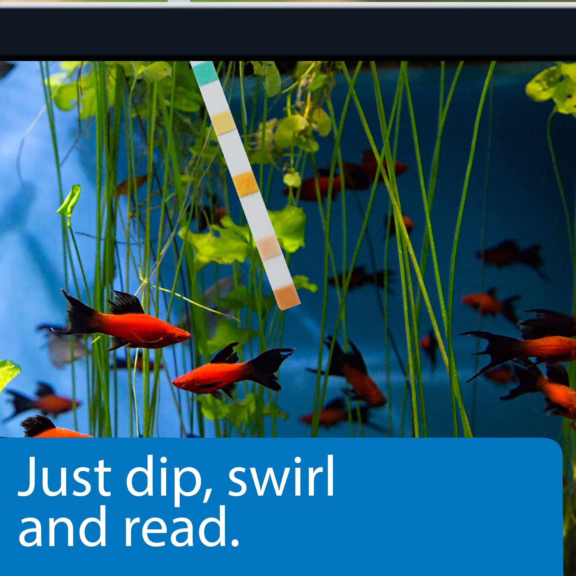 API 5-in-1 Freshwater Aquarium Test Strip 1ea/100 ct