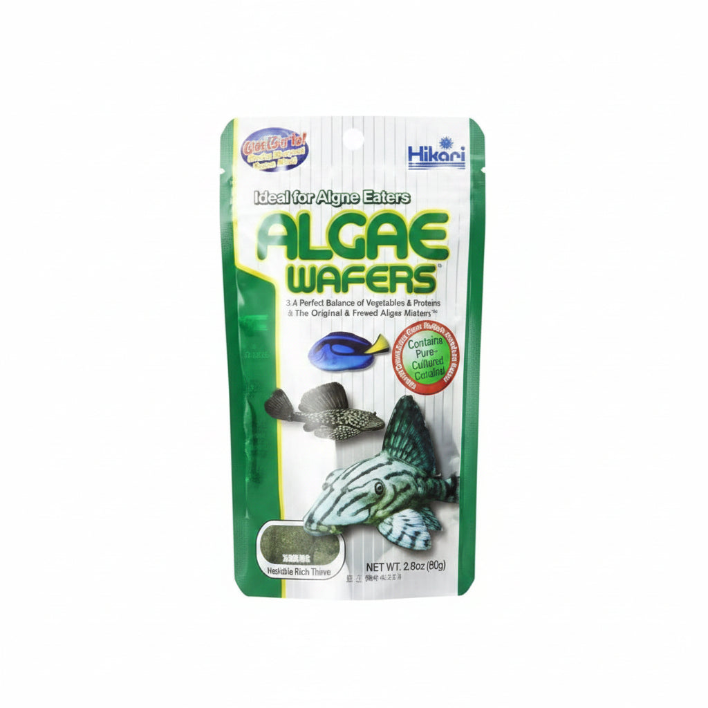 Hikari Usa Inc AHK21316 tropical Algae Wafer 2.89-Ounce