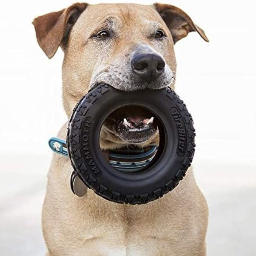 Mammoth TireBiterII – Natural Rubber Dog Toys for Extreme Chewers – Dog Toys for Extra Long Interactive Play – Aggressive Chewer Toys for Medium - Large Dogs - Large 6”