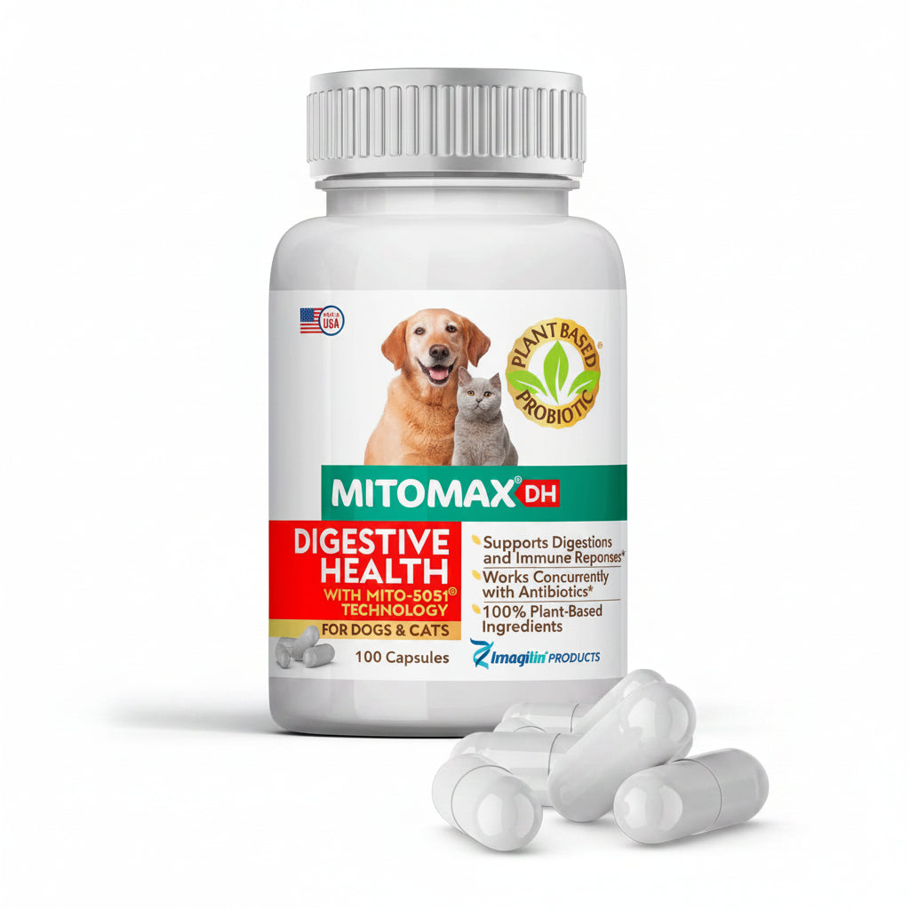MitoMax DH for Digestive Health, Plant Based Probiotics for Dogs and Cats, 100 Capsules per Bottle