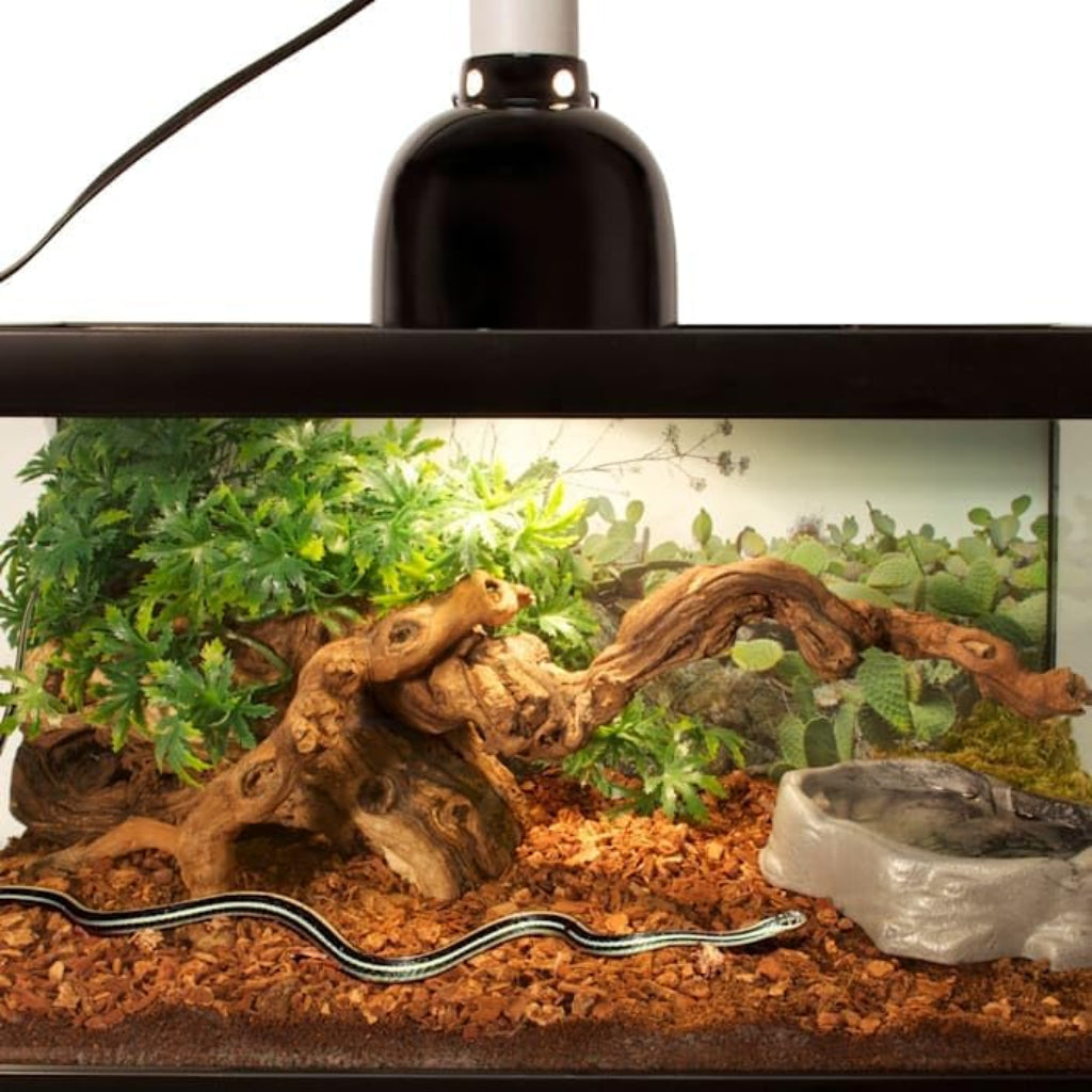 Zoo Med Premium ReptiBark Bedding Substrate Brown, 1ea/4 qt