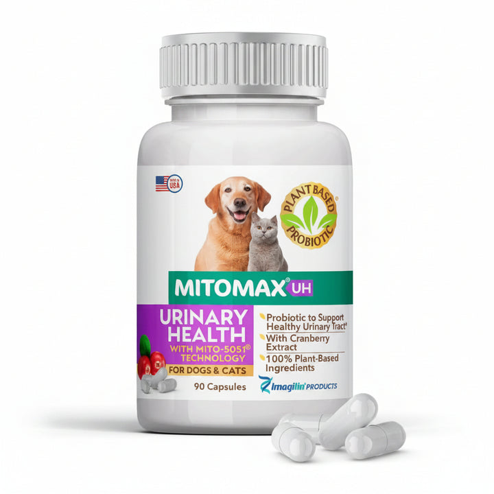 MitoMax Cranberry 90 Count Probiotic Supplement for Urinary Health of Dogs and Cats