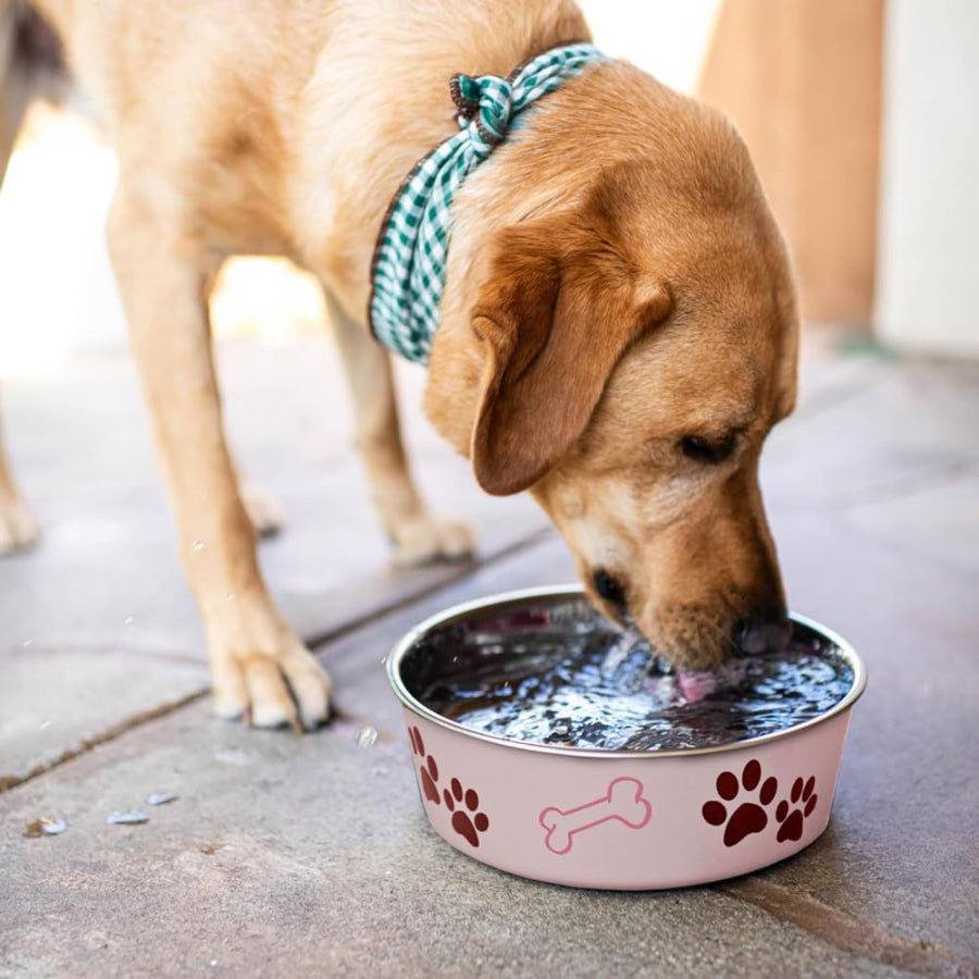 Loving Pets Classic Dog Bowl Paparazzi Pink, 1ea/SM