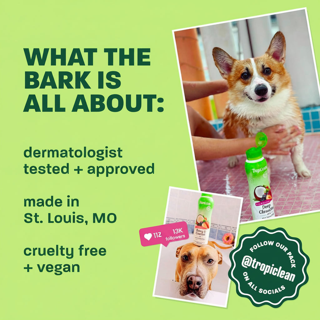 TropiClean Deodorizing Dog Shampoo, Powerful Odor Control, Long-Lasting Raspberry Lime Scent, Puppy Safe, Made in The USA, Cat Friendly, 20oz.