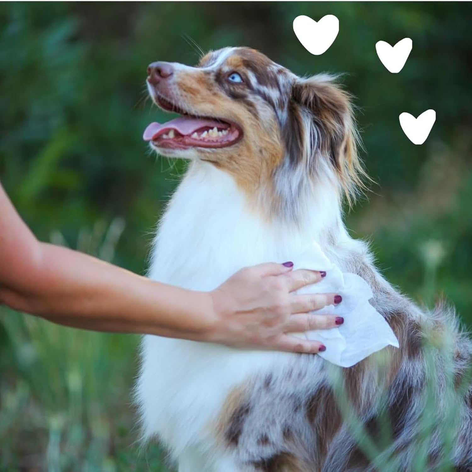 earthbath Dog Grooming Wipes