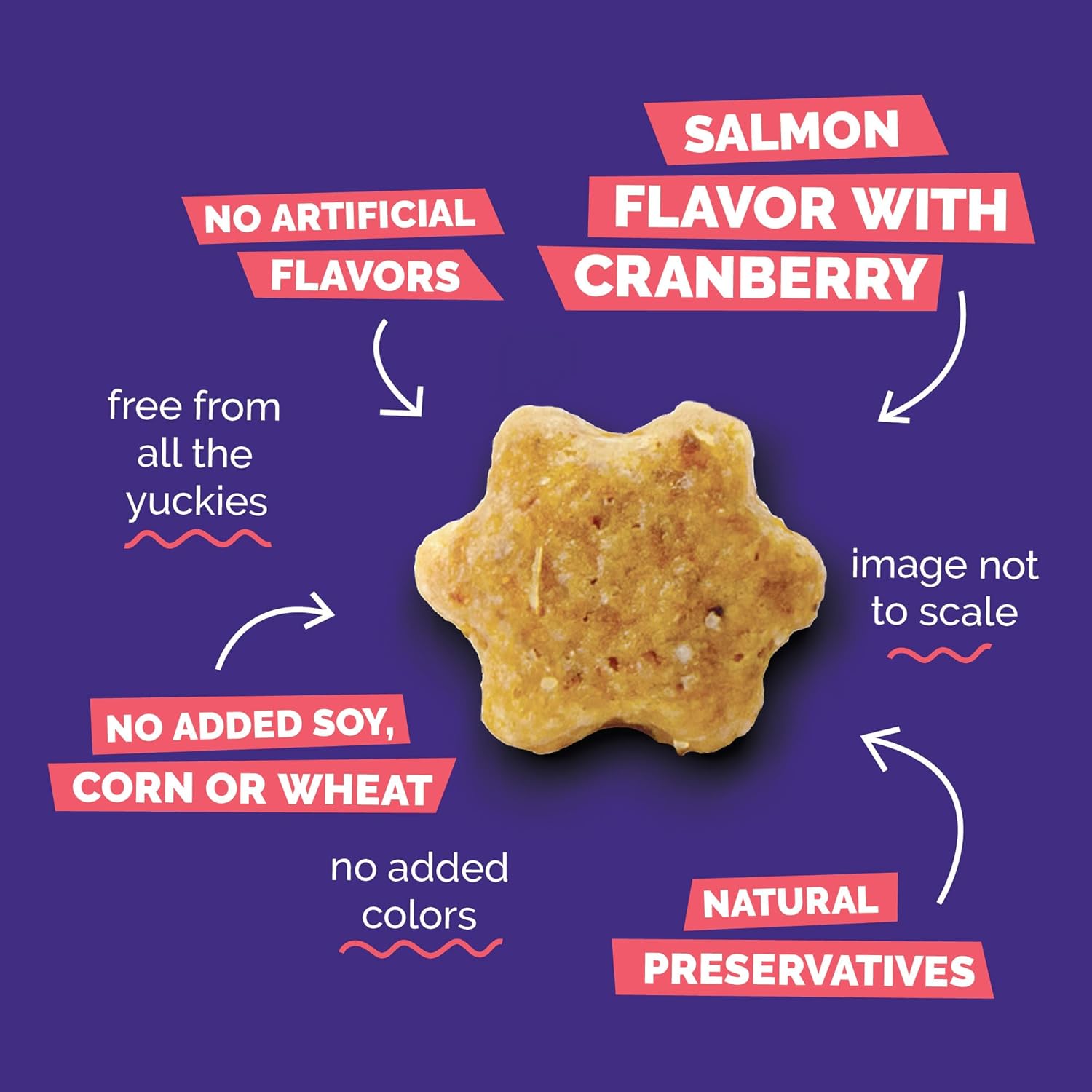 Fruitables Cat Treats, Healthy Treats For Cats, Low Calorie and Packed with Protein, Crunchy Biscuits, No Wheat, Corn or Soy, Made with Real Salmon and Cranberry, 2.5oz (pack of 2)