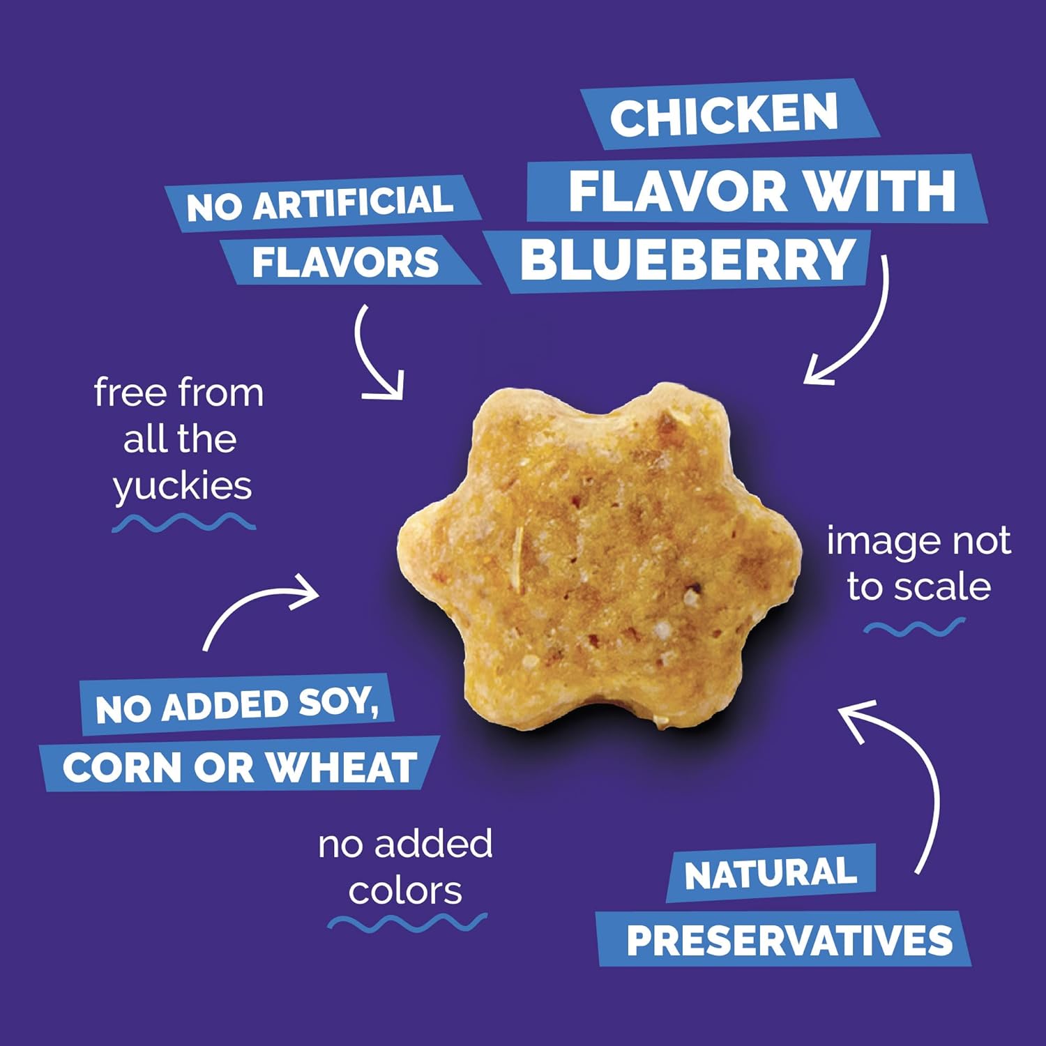 Fruitables Cat Treats, Healthy Treats For Cats, Low Calorie and Packed with Protein, Crunchy Biscuits, No Wheat, Corn or Soy, Made with Real Chicken and Blueberry, 2.5oz ( pack of 2)
