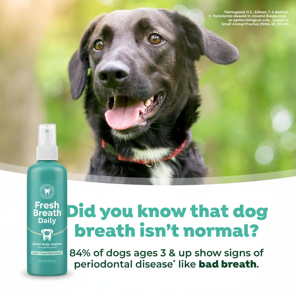 TropiClean Fresh Breath Water Additive for Dogs, Dog Breath Freshener and Teeth Cleaning Solution, No Toothpaste or Toothbrush Required, 33.8oz.