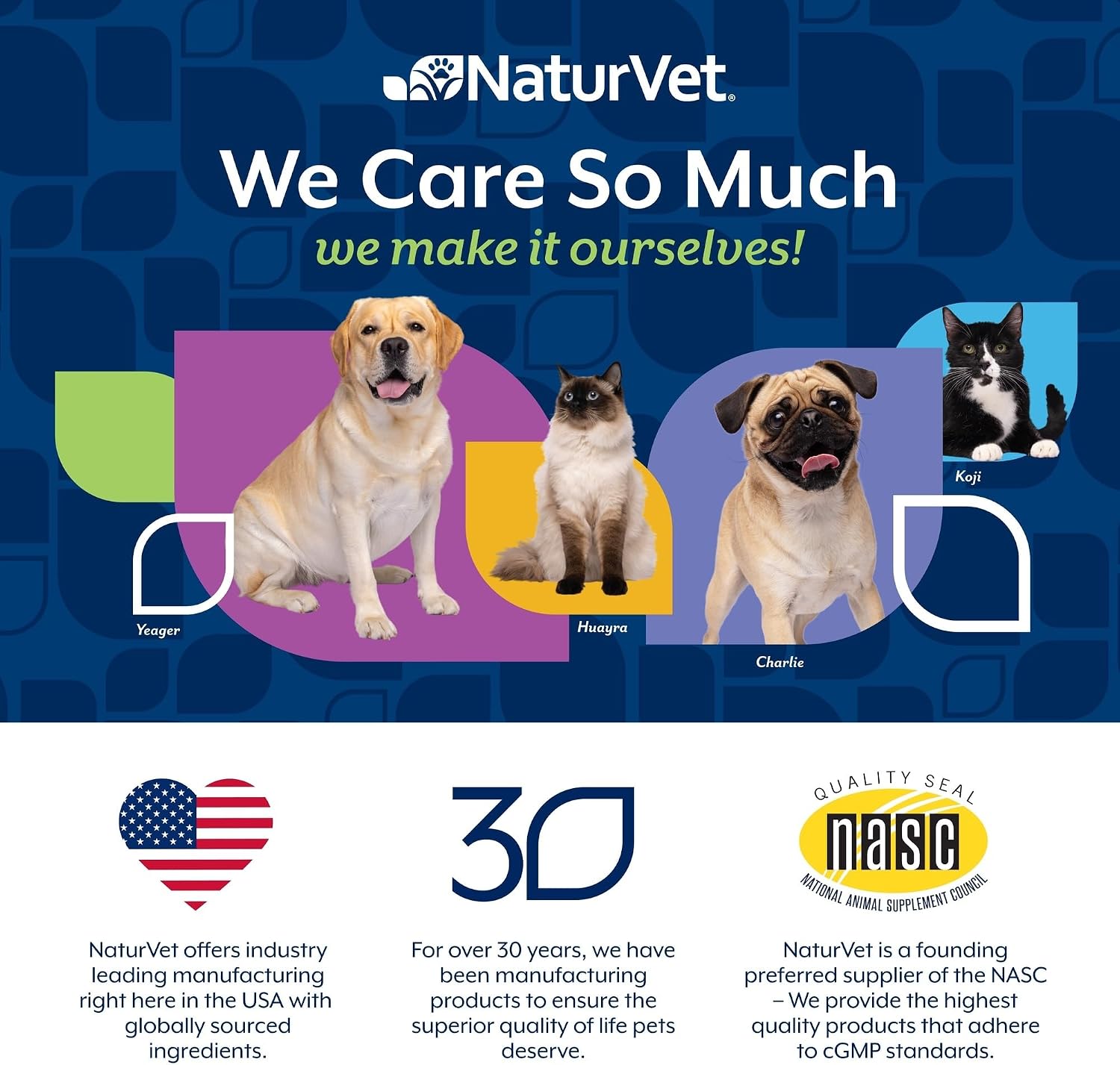 NaturVet Omega Gold PLUS Salmon Oil Soft Chews 1ea/90 Chews