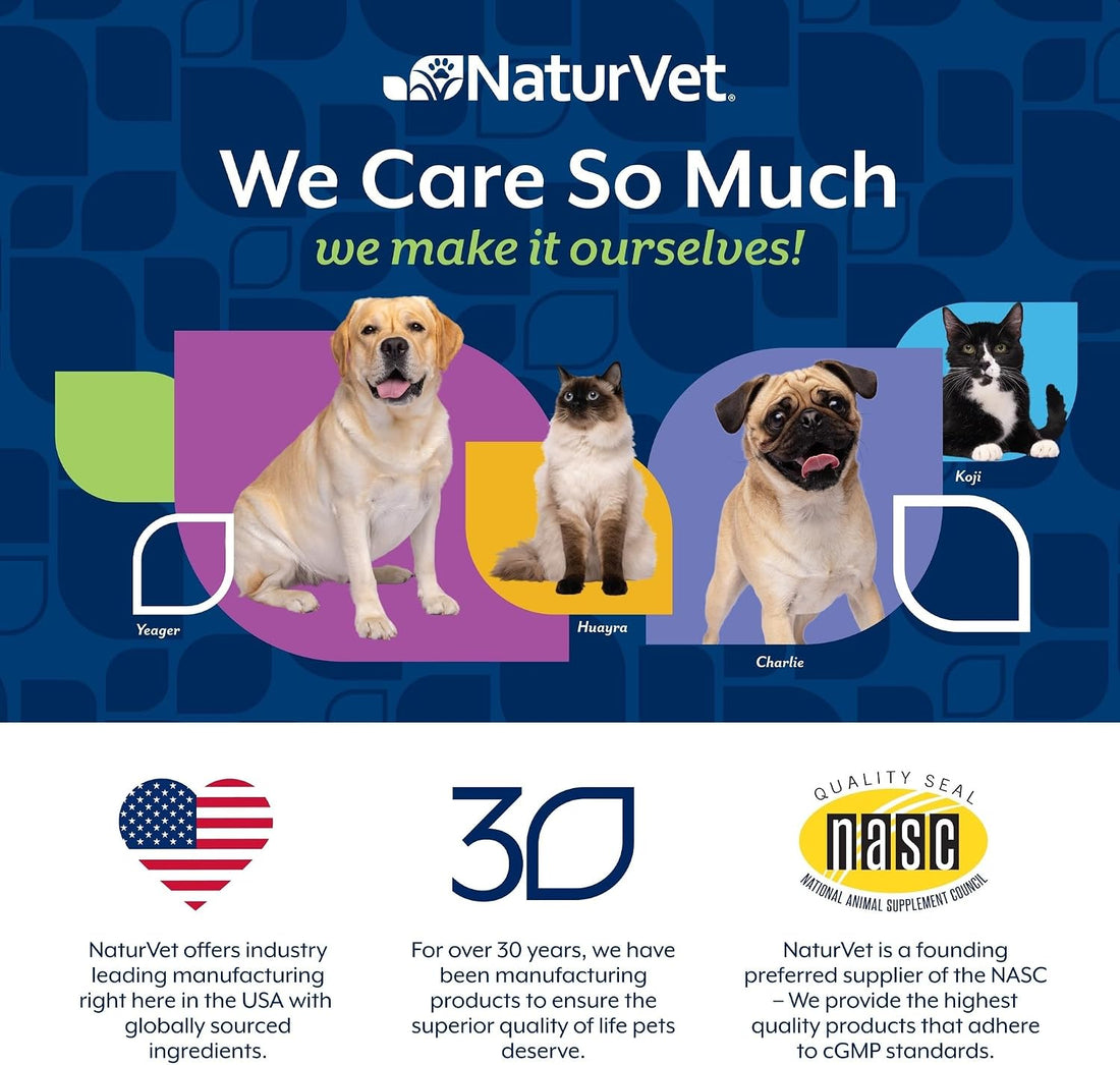 NaturVet Omega Gold PLUS Salmon Oil Soft Chews 1ea/90 Chews