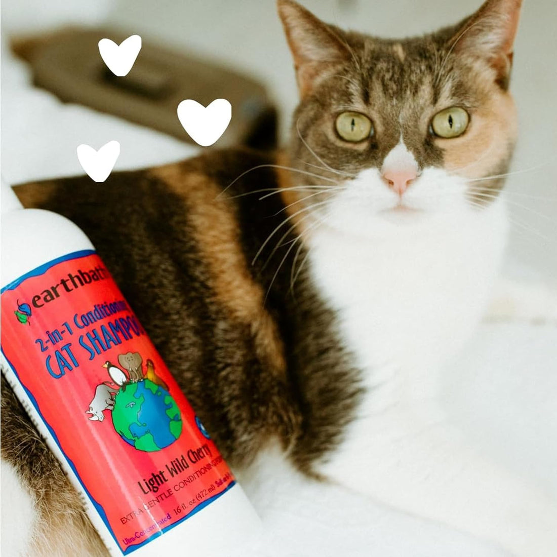 earthbath, Wild Cherry 2-in-1 Cat Conditioning Shampoo