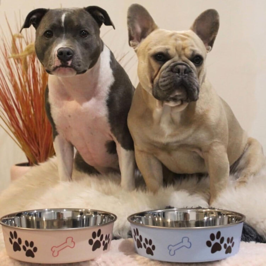 Loving Pets Classic Dog Bowl Paparazzi Pink, 1ea/SM