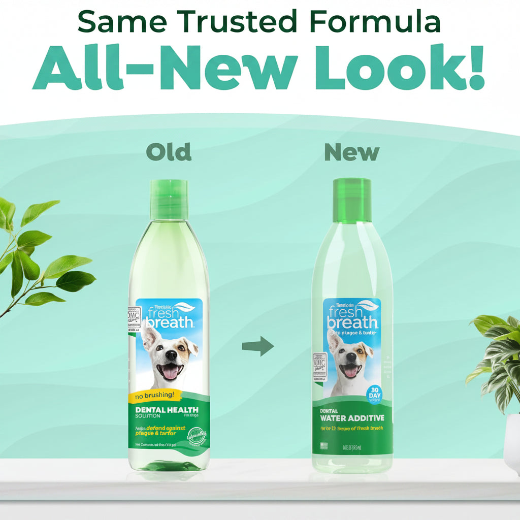 TropiClean Fresh Breath Water Additive for Dogs, Dog Breath Freshener and Teeth Cleaning Solution, No Toothpaste or Toothbrush Required, 16oz.