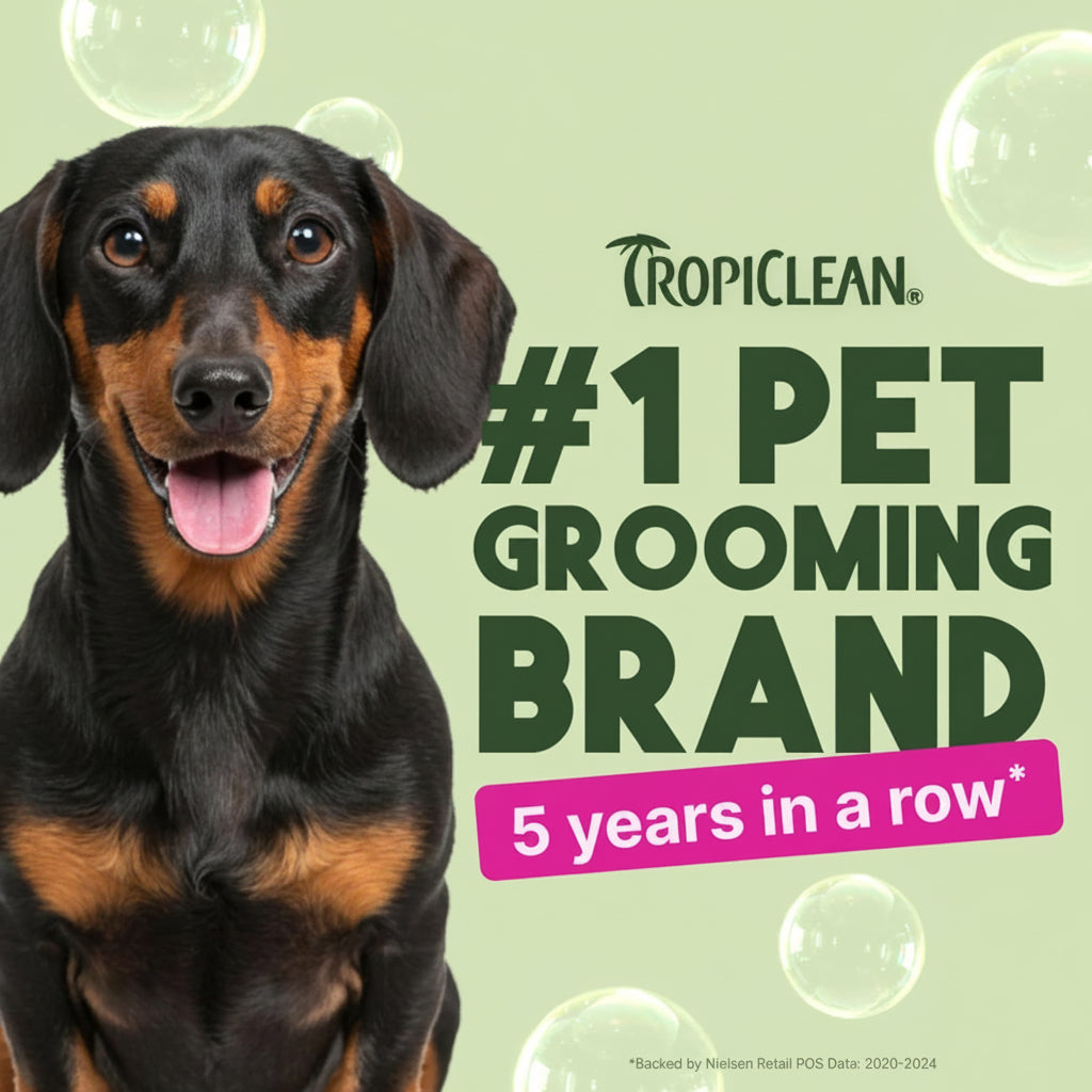 TropiClean Berry & Coconut Deep Cleansing Cat Shampoo | Kitten Shampoo Reduces Matting | Natural Shampoo Derived from Natural Ingredients | Made in The USA | 12 oz.