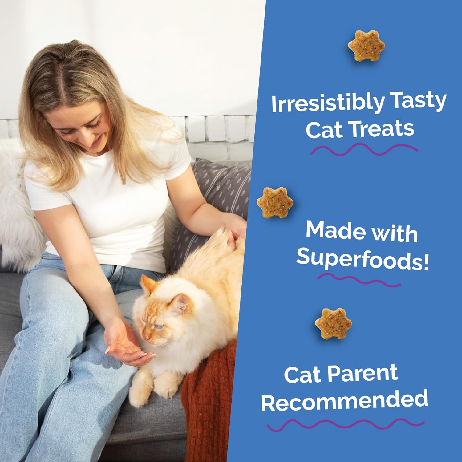 Fruitables Cat Treats, Healthy Treats For Cats, Low Calorie and Packed with Protein, Crunchy Biscuits, No Wheat, Corn or Soy, Made with Real Chicken and Blueberry, 2.5oz ( pack of 2)