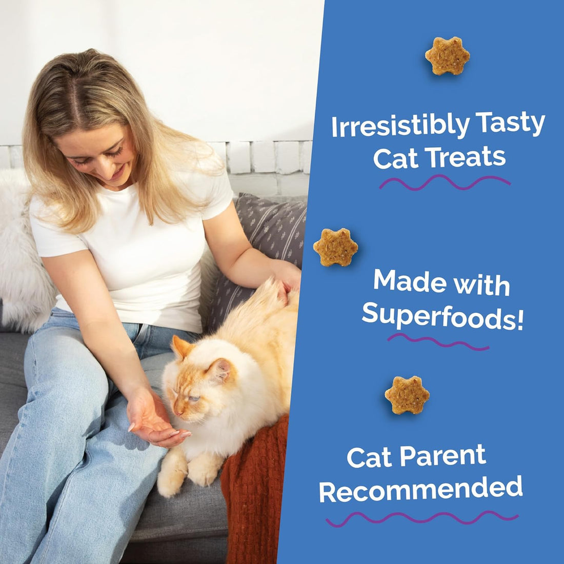 Fruitables Cat Treats, Healthy Treats For Cats, Low Calorie and Packed with Protein, Crunchy Biscuits, No Wheat, Corn or Soy, Made with Real Chicken and Blueberry, 2.5oz ( pack of 2)