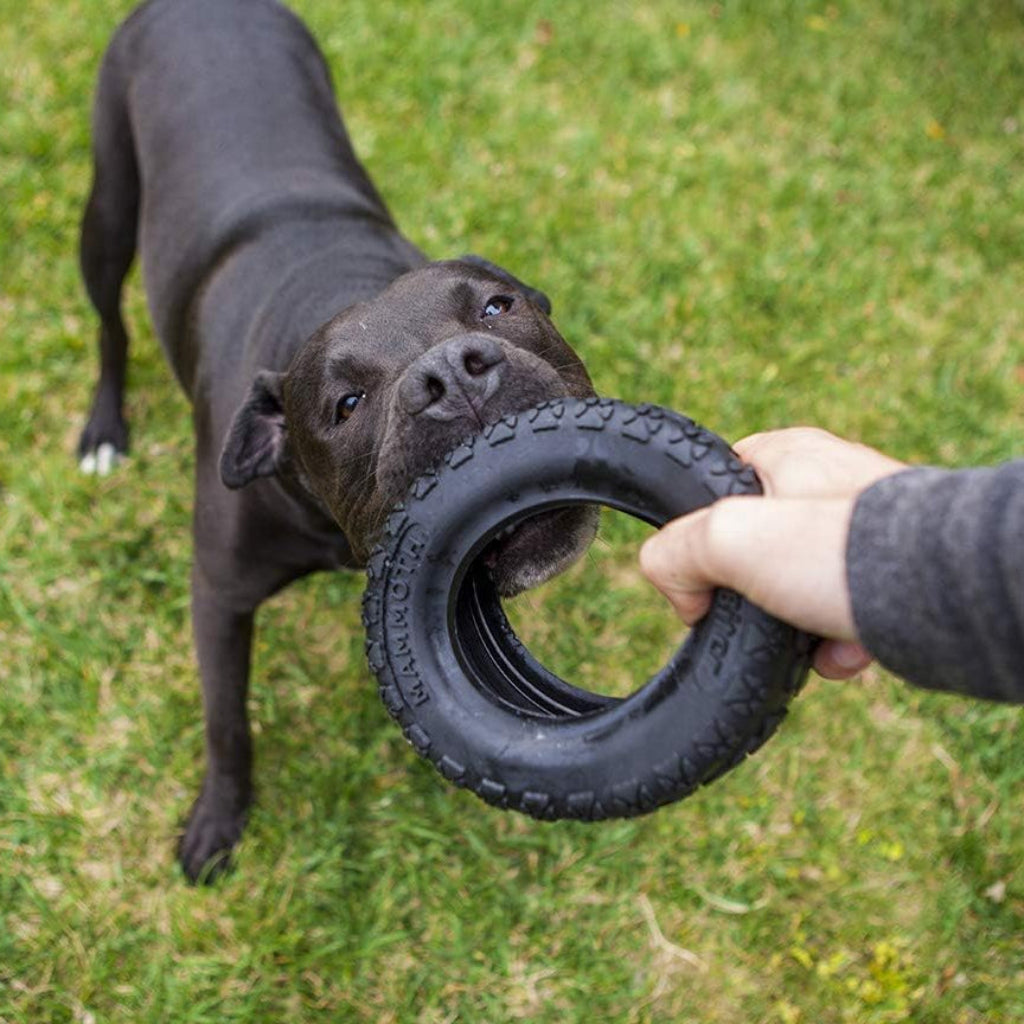 Mammoth TireBiterII – Natural Rubber Dog Toys for Extreme Chewers – Dog Toys for Extra Long Interactive Play – Aggressive Chewer Toys for Medium - Large Dogs - Large 6”