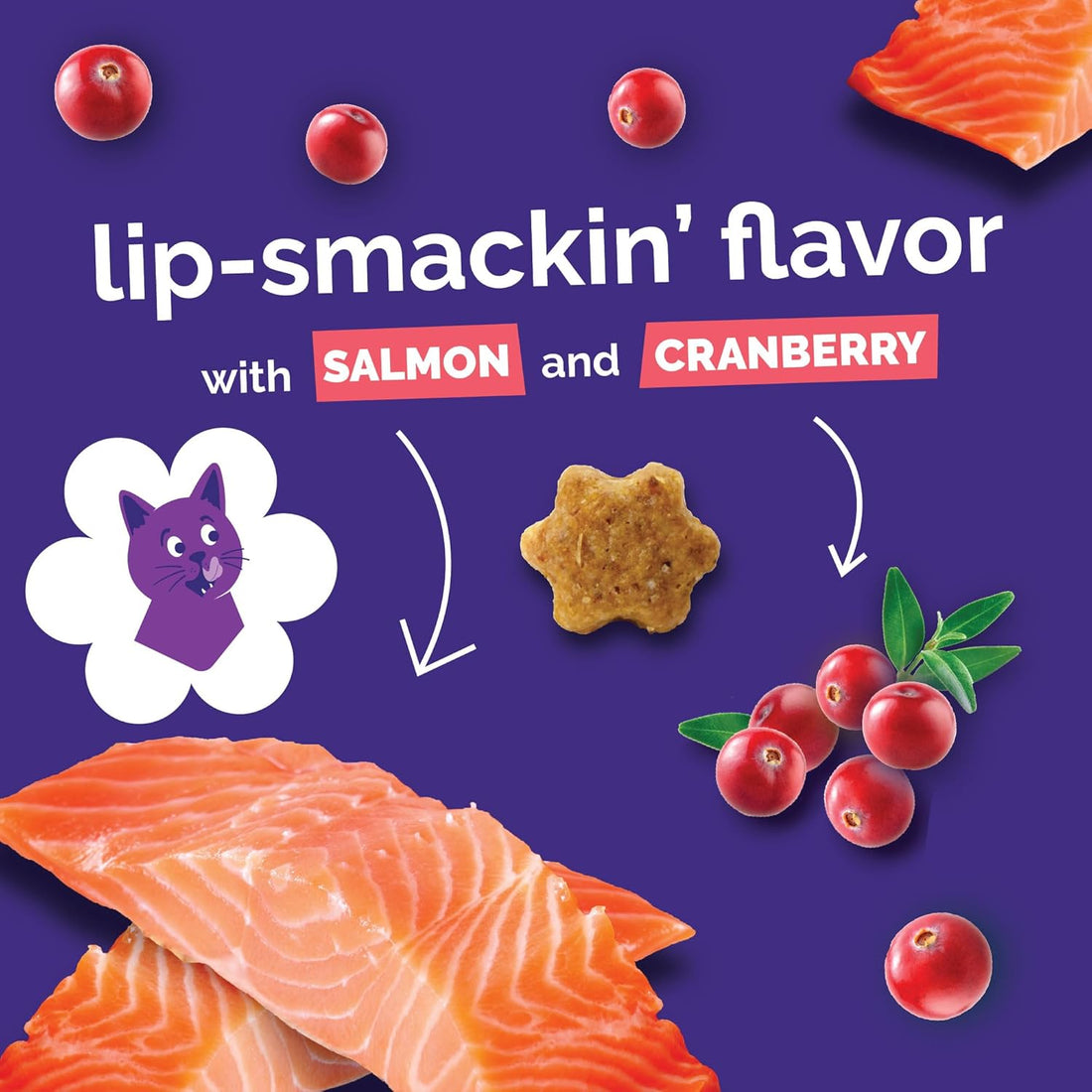 Fruitables Cat Treats, Healthy Treats For Cats, Low Calorie and Packed with Protein, Crunchy Biscuits, No Wheat, Corn or Soy, Made with Real Salmon and Cranberry, 2.5oz (pack of 2)
