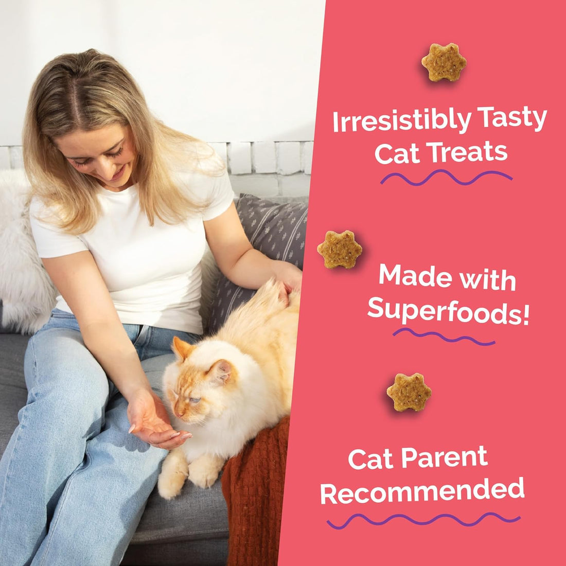 Fruitables Cat Treats, Healthy Treats For Cats, Low Calorie and Packed with Protein, Crunchy Biscuits, No Wheat, Corn or Soy, Made with Real Salmon and Cranberry, 2.5oz (pack of 2)