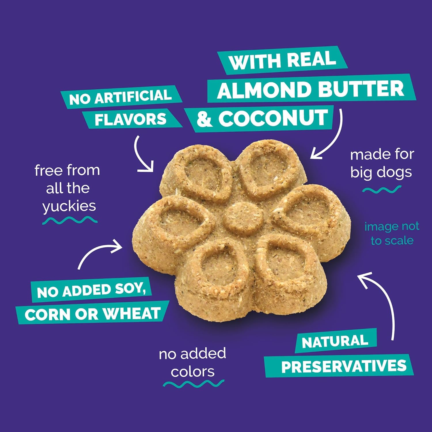 Fruitables Biggies Dog Biscuits, Pumpkin Treats for Dogs, Healthy Doggie Biscuits, Crunchy Treats, No Wheat, Corn or Soy, Made in The USA, Almond Butter and Coconut Flavor, 16oz