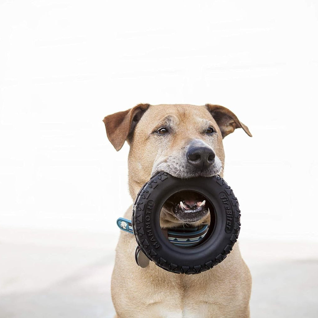 Mammoth TireBiterII – Natural Rubber Dog Toys for Extreme Chewers – Dog Toys for Extra Long Interactive Play – Aggressive Chewer Toys for Large - X-Large Dogs - X-Large 7”
