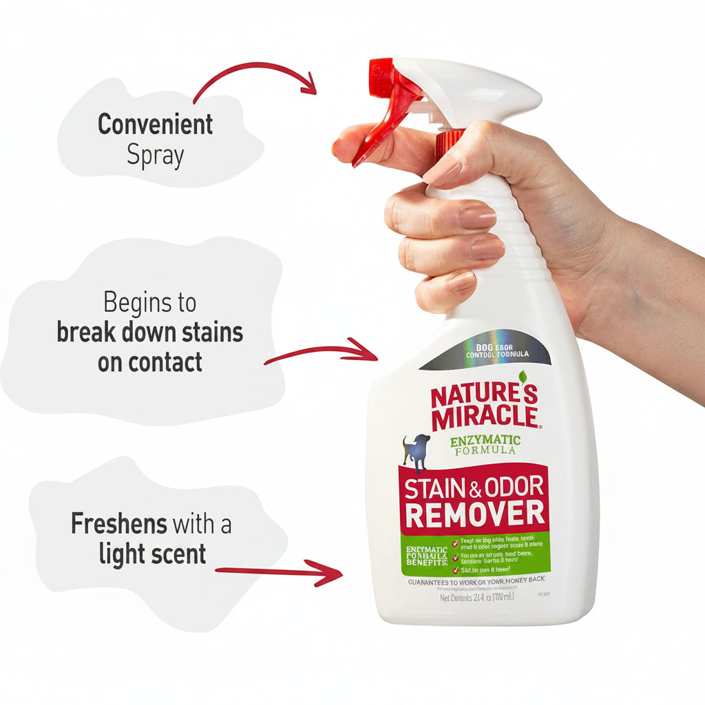 Nature's Miracle Dog Stain and Odor Remover, Everyday Mess Enzymatic Formula, 24 fl oz