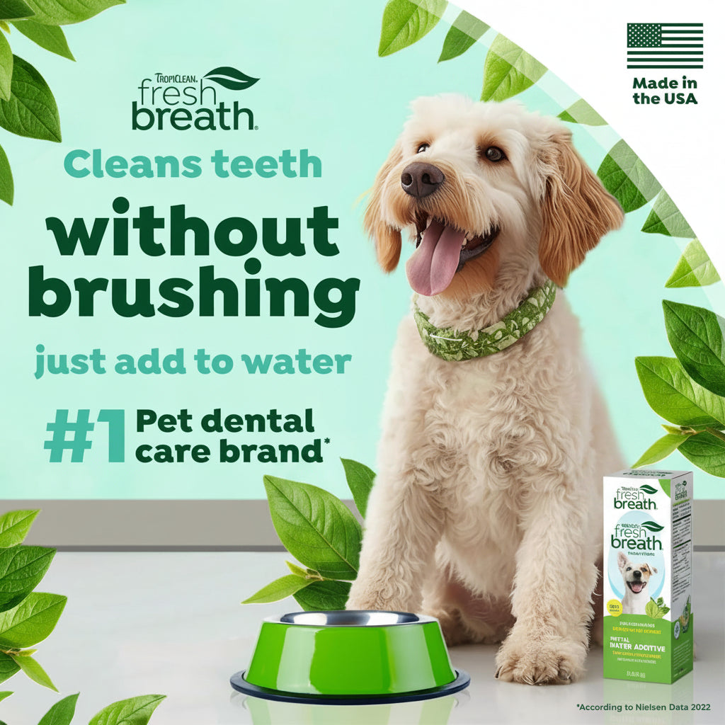 TropiClean Fresh Breath Water Additive for Dogs, Dog Breath Freshener and Teeth Cleaning Solution, No Toothpaste or Toothbrush Required, 16oz.
