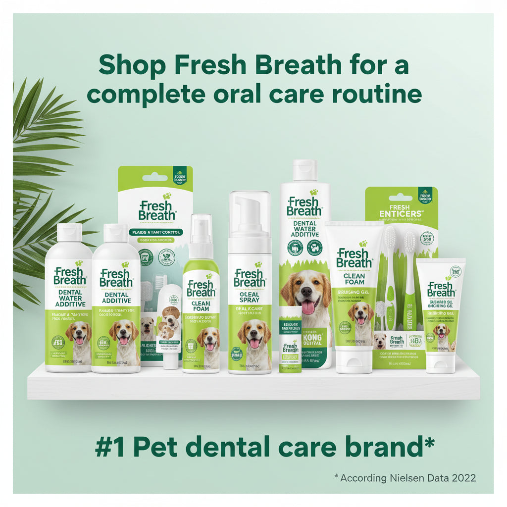 TropiClean Fresh Breath Water Additive for Dogs, Dog Breath Freshener and Teeth Cleaning Solution, No Toothpaste or Toothbrush Required, 16oz.