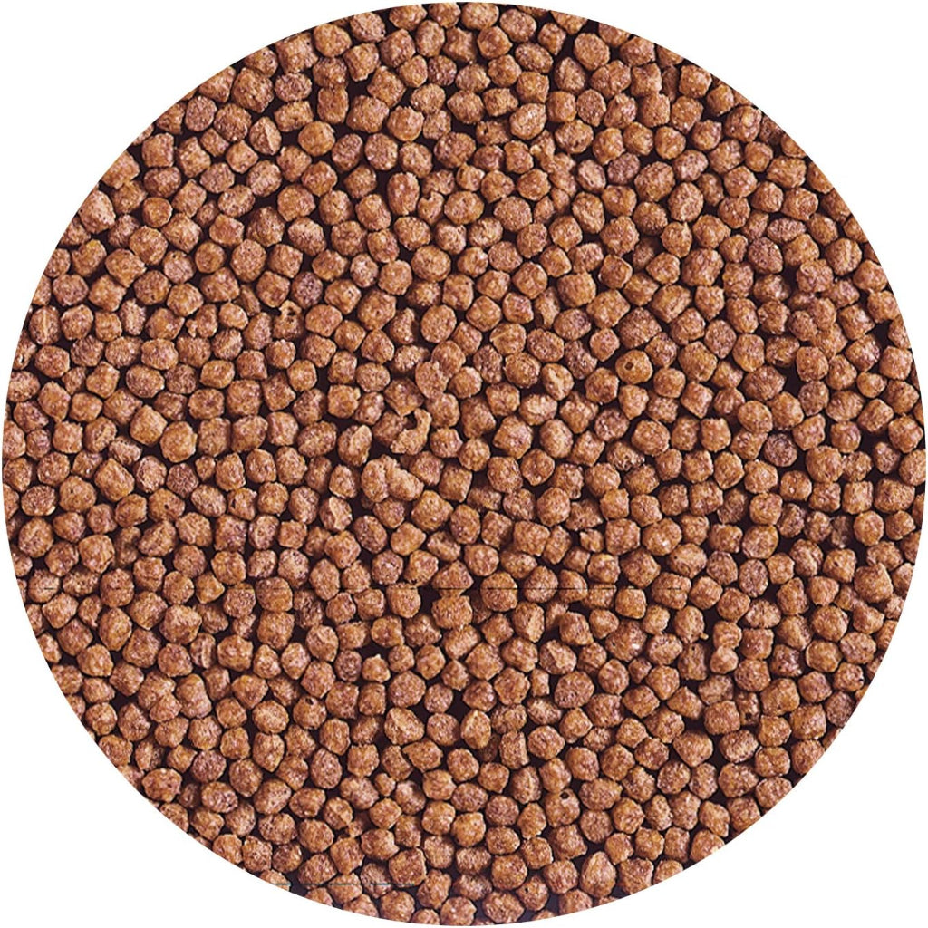 Hikari Cichlid Gold Floating Baby Pellets for Pets, 8.8-Ounce