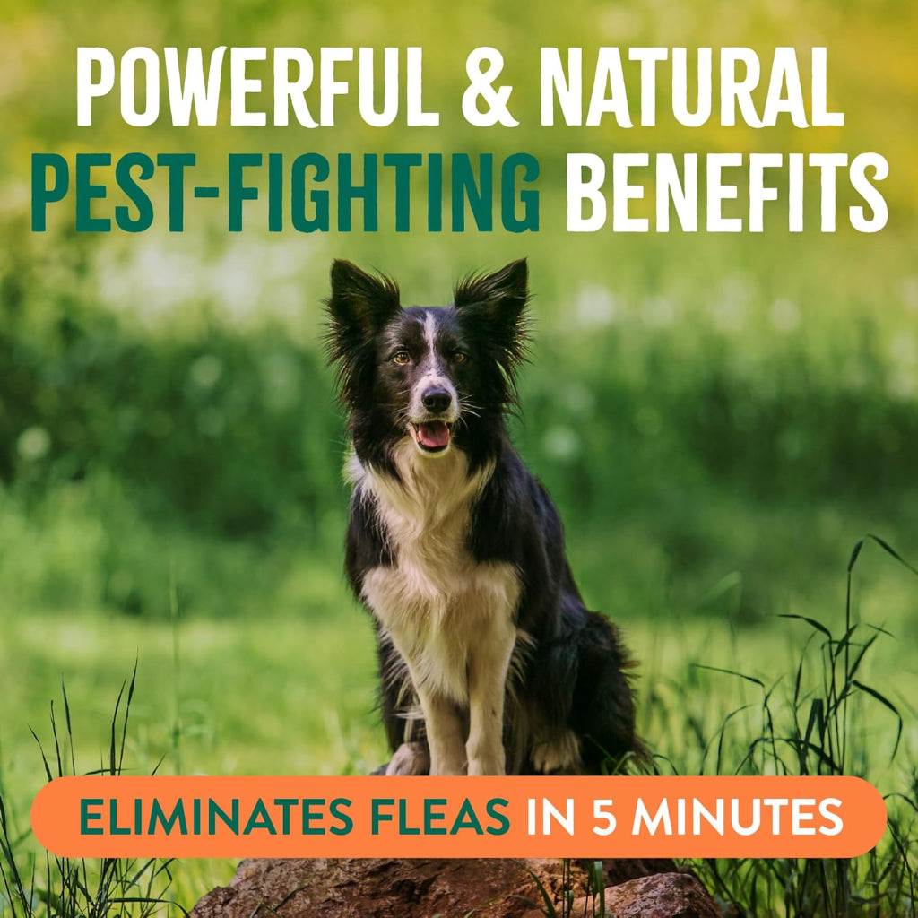 TropiClean Natural Maximum Strength Flea and Tick Spray for Dogs, 16ozTropiClean Natural Maximum Strength Flea and Tick Spray for Dogs, 16oz