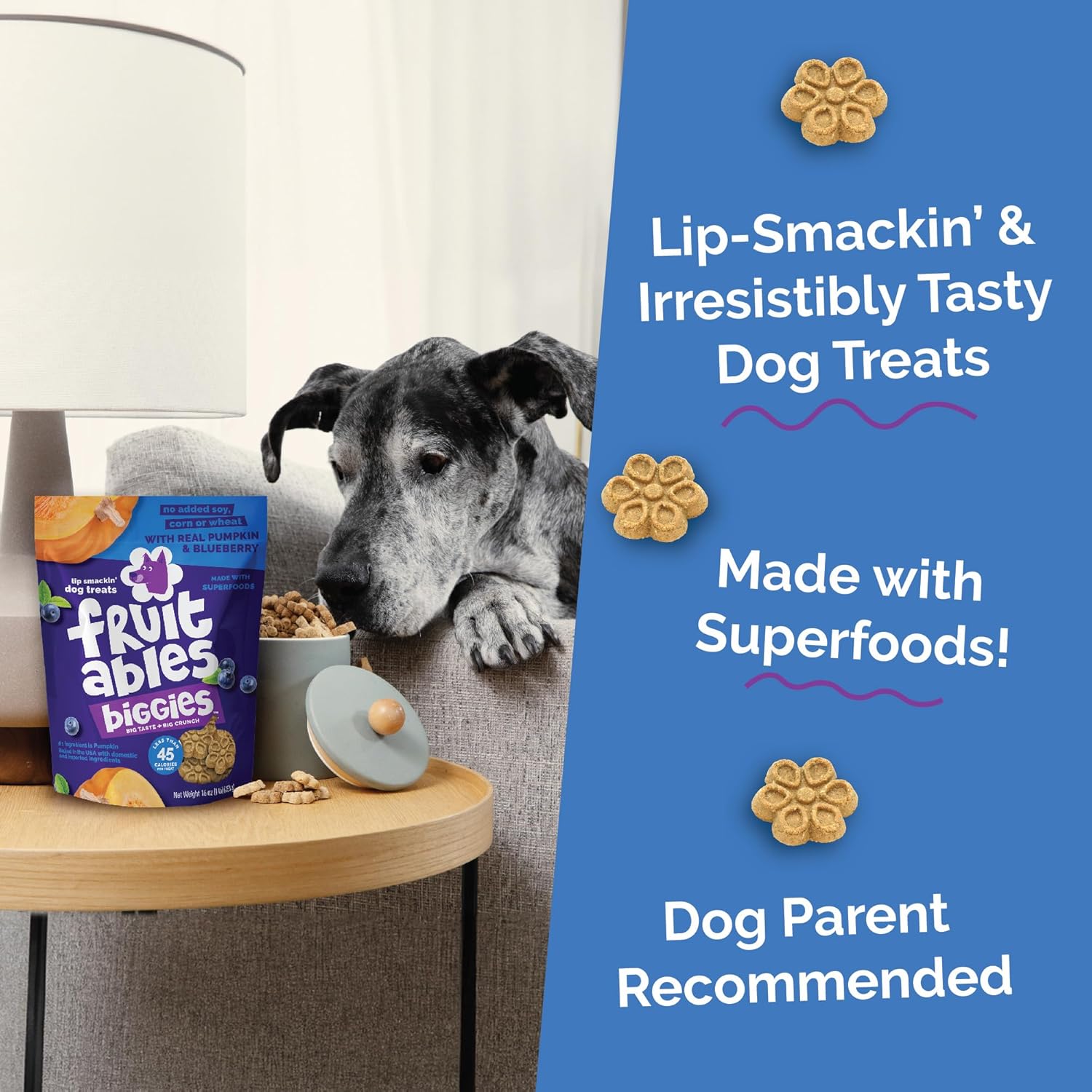 Fruitables Biggies Dog Biscuits, Healthy Treats for Dogs, Doggie Biscuits, Crunchy Pumpkin Treats, Made Without Wheat, Corn and Soy, Made in the USA, Pumpkin and Blueberry Flavor, 16oz
