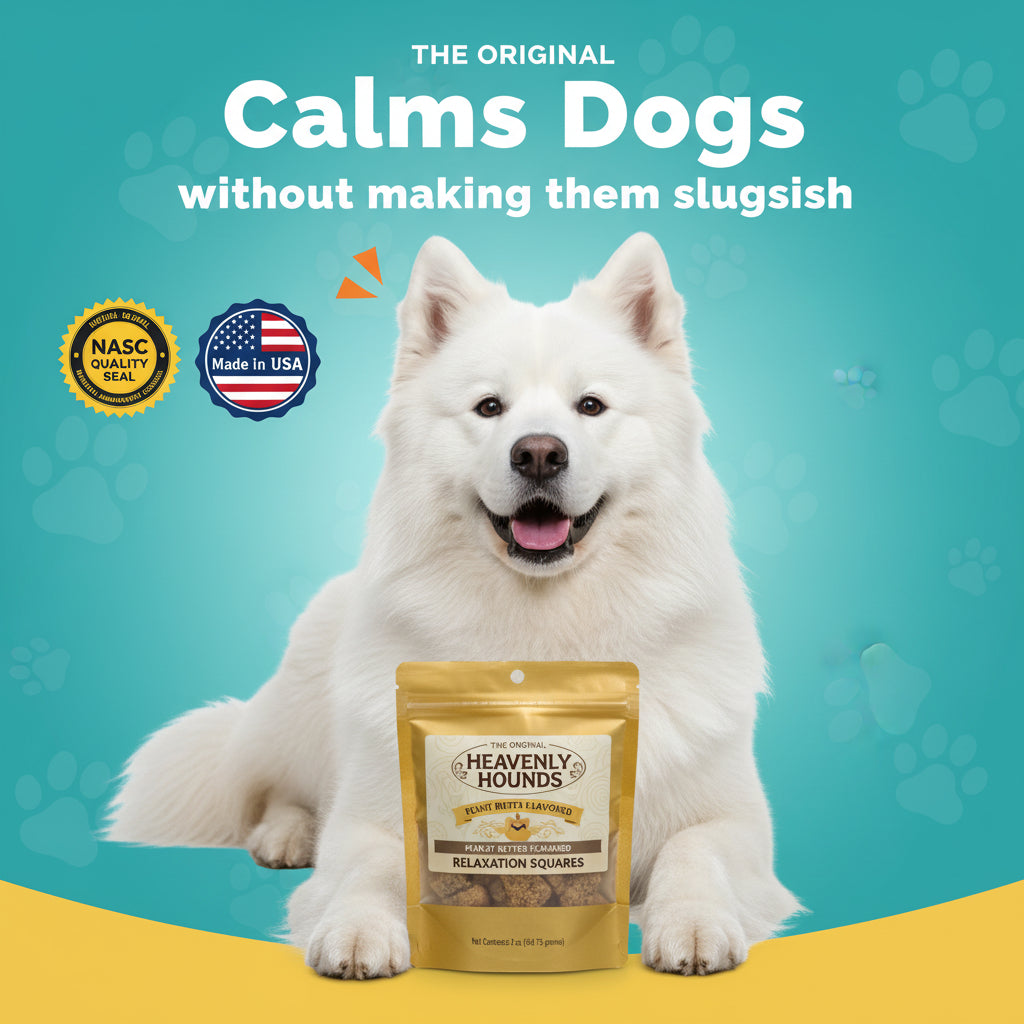 Heavenly Hounds Peanut Butter Chews - Anxiety Relief for Dogs - Natural Ingredients - No Hemp Calming Snacks, 2 Oz - Pack of 4