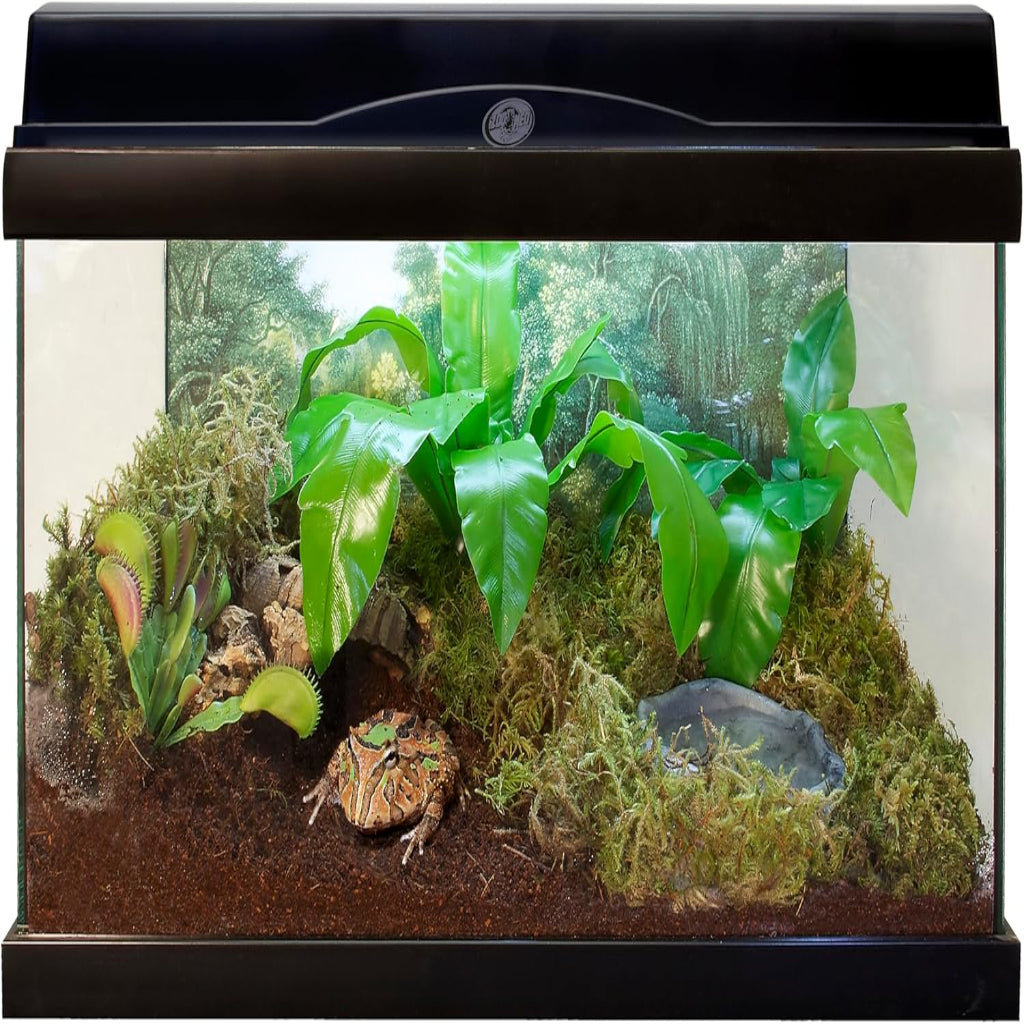 Zoo Med Eco Earth Coconut Fiber Substrate Brown, 1ea/8 qt