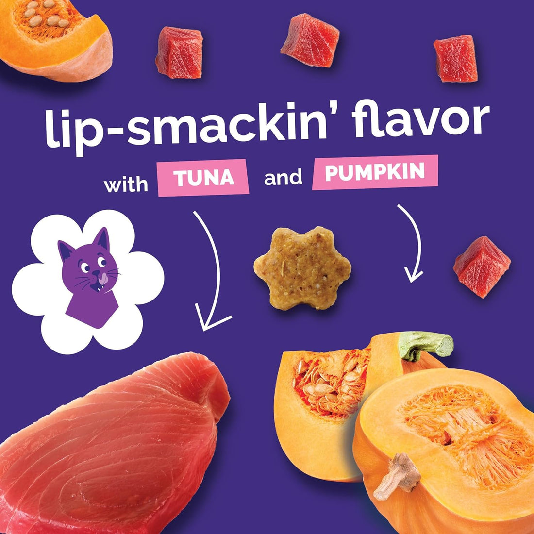 Fruitables Cat Treats, Healthy Treats For Cats, Low Calorie and Packed with Protein, Crunchy Biscuits, No Wheat, Corn or Soy, Made with Real Tuna and Pumpkin, 2.5oz (Pack of 2)