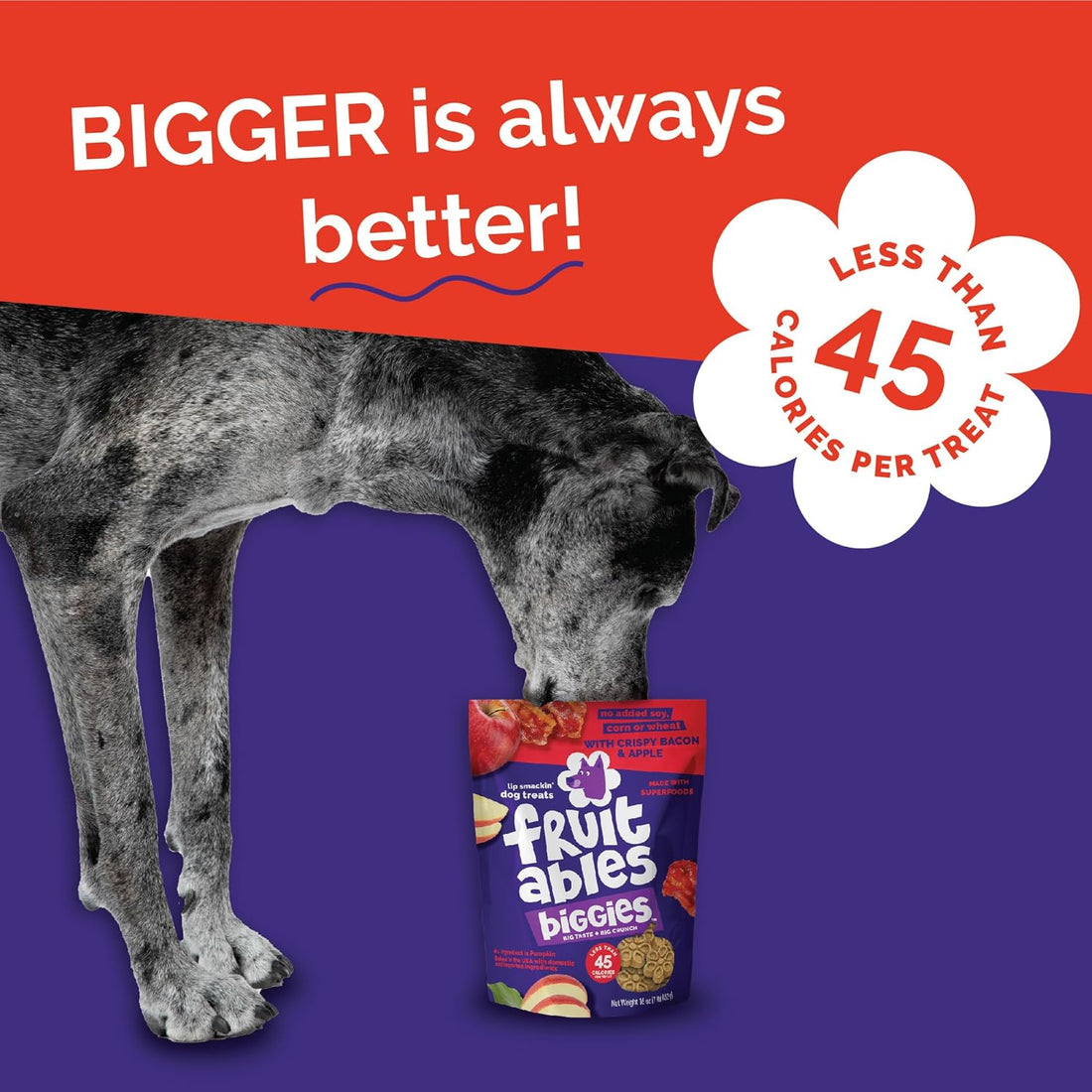 Fruitables Biggies Dog Biscuits, Healthy Treats for Dogs, Pumpkin Doggie Biscuits, Crunchy Treats, Made Without Wheat, Corn and Soy, Made in the USA, Crispy Apple and Bacon Flavor, 16oz