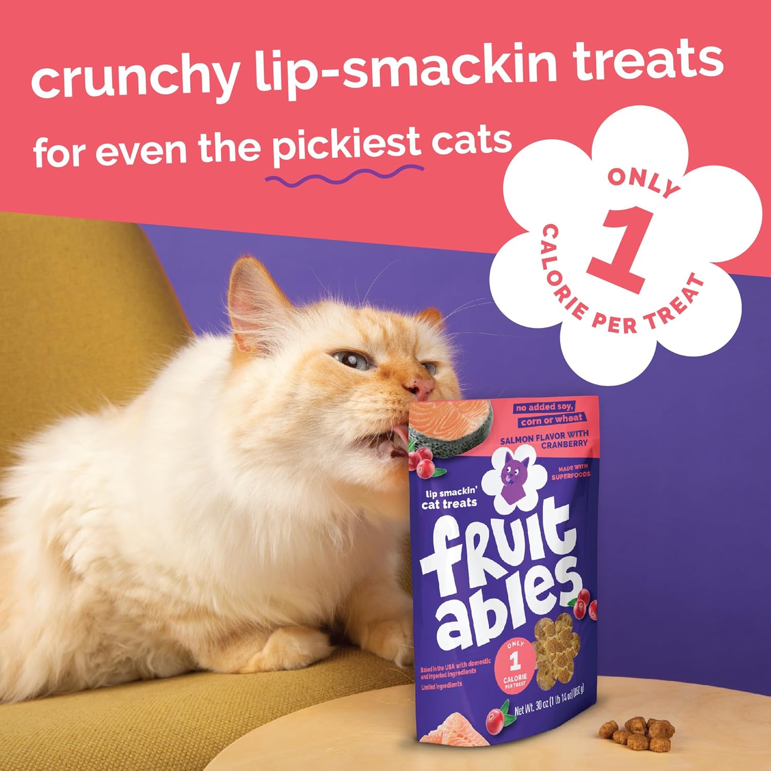 Fruitables Cat Treats, Healthy Treats For Cats, Low Calorie and Packed with Protein, Crunchy Biscuits, No Wheat, Corn or Soy, Made with Real Salmon and Cranberry, 2.5oz (pack of 2)