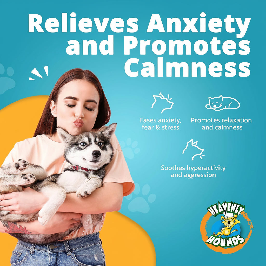 Heavenly Hounds Peanut Butter Chews - Anxiety Relief for Dogs - Natural Ingredients - No Hemp Calming Snacks, 2 Oz - Pack of 4