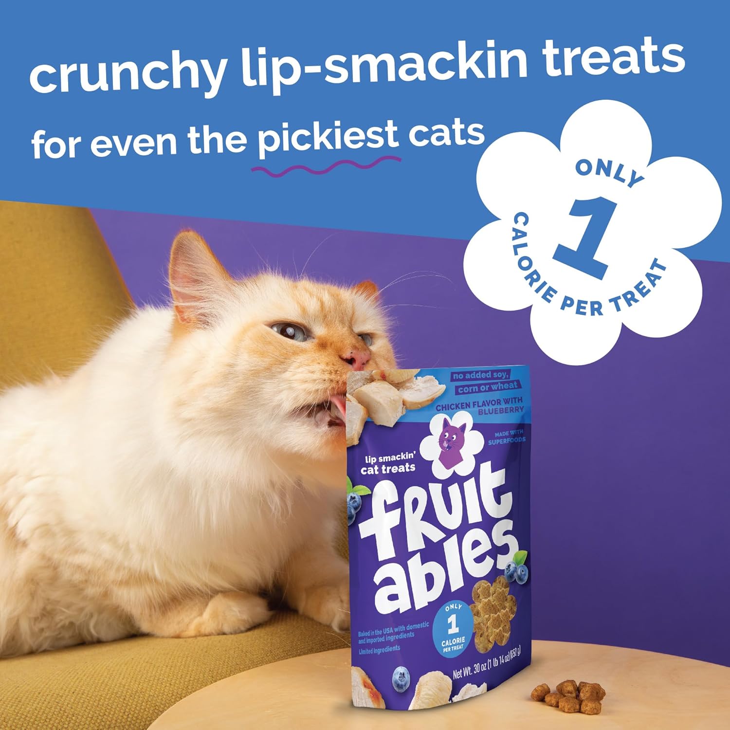 Fruitables Cat Treats, Healthy Treats For Cats, Low Calorie and Packed with Protein, Crunchy Biscuits, No Wheat, Corn or Soy, Made with Real Chicken and Blueberry, 2.5oz ( pack of 2)