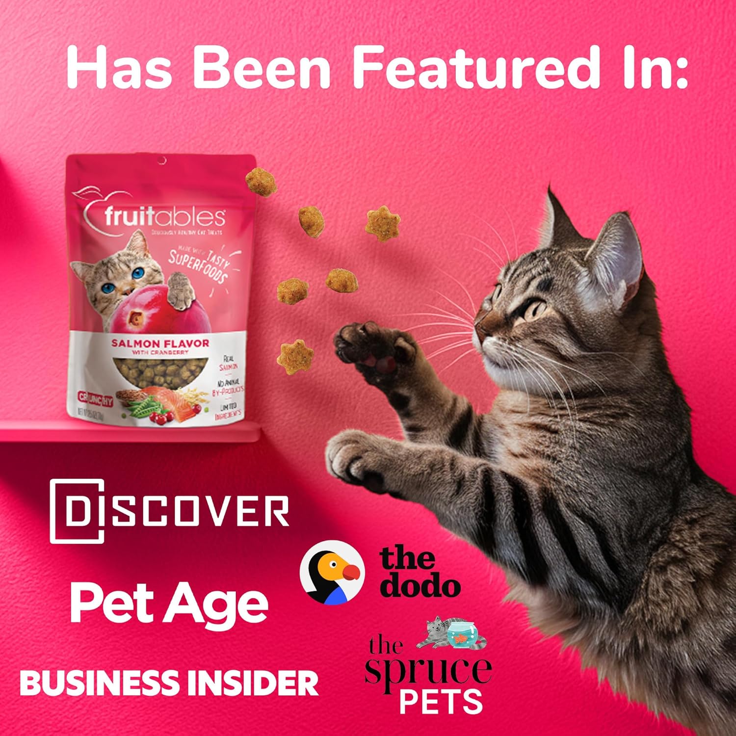 Fruitables Cat Treats Crunchy Cat Treats Packed with Protein Healthy Low Calorie Free of Wheat, Corn and Soy Made with Real Chicken and Blueberry 30 Ounces