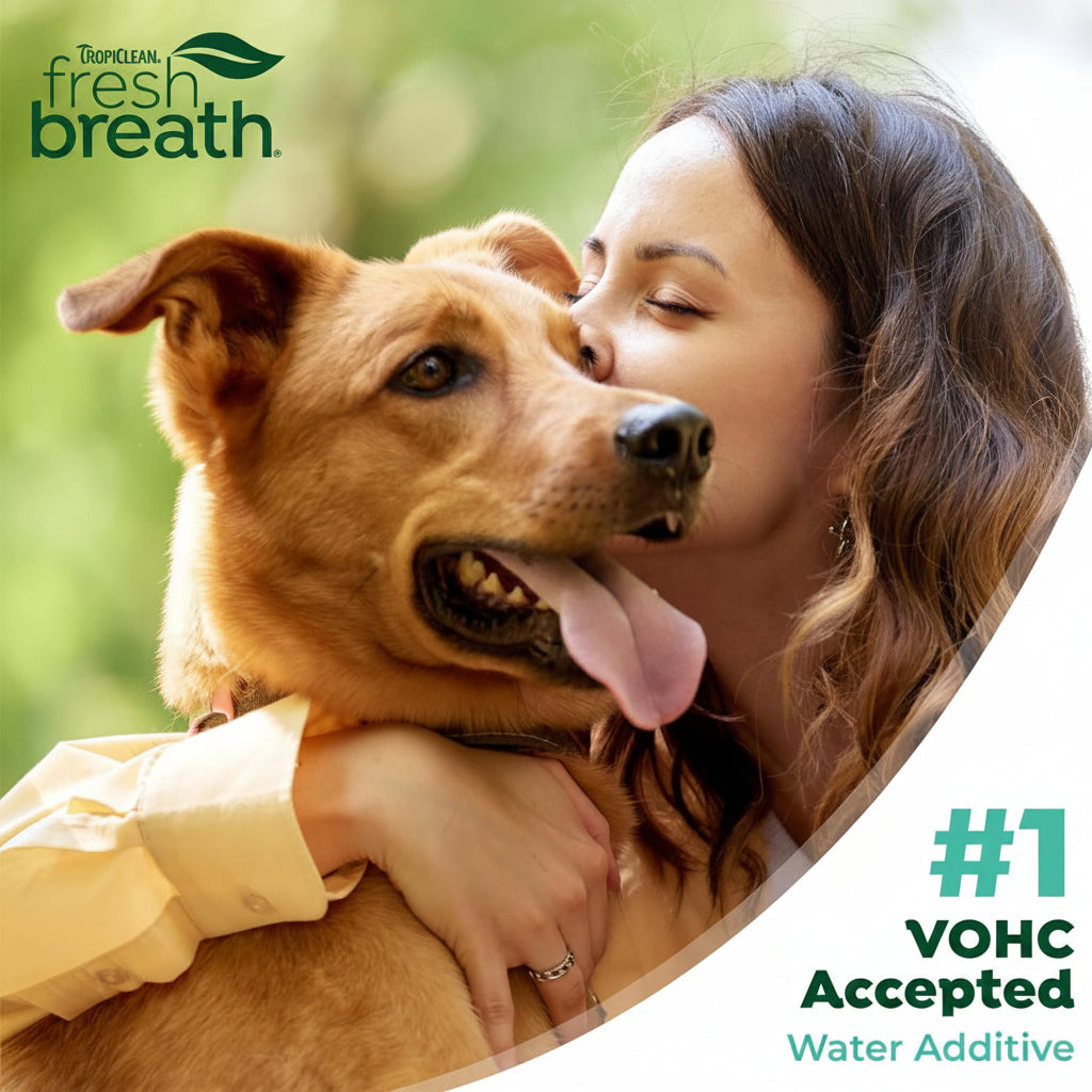 TropiClean Fresh Breath Water Additive for Dogs, Dog Breath Freshener and Teeth Cleaning Solution, No Toothpaste or Toothbrush Required, 16oz.