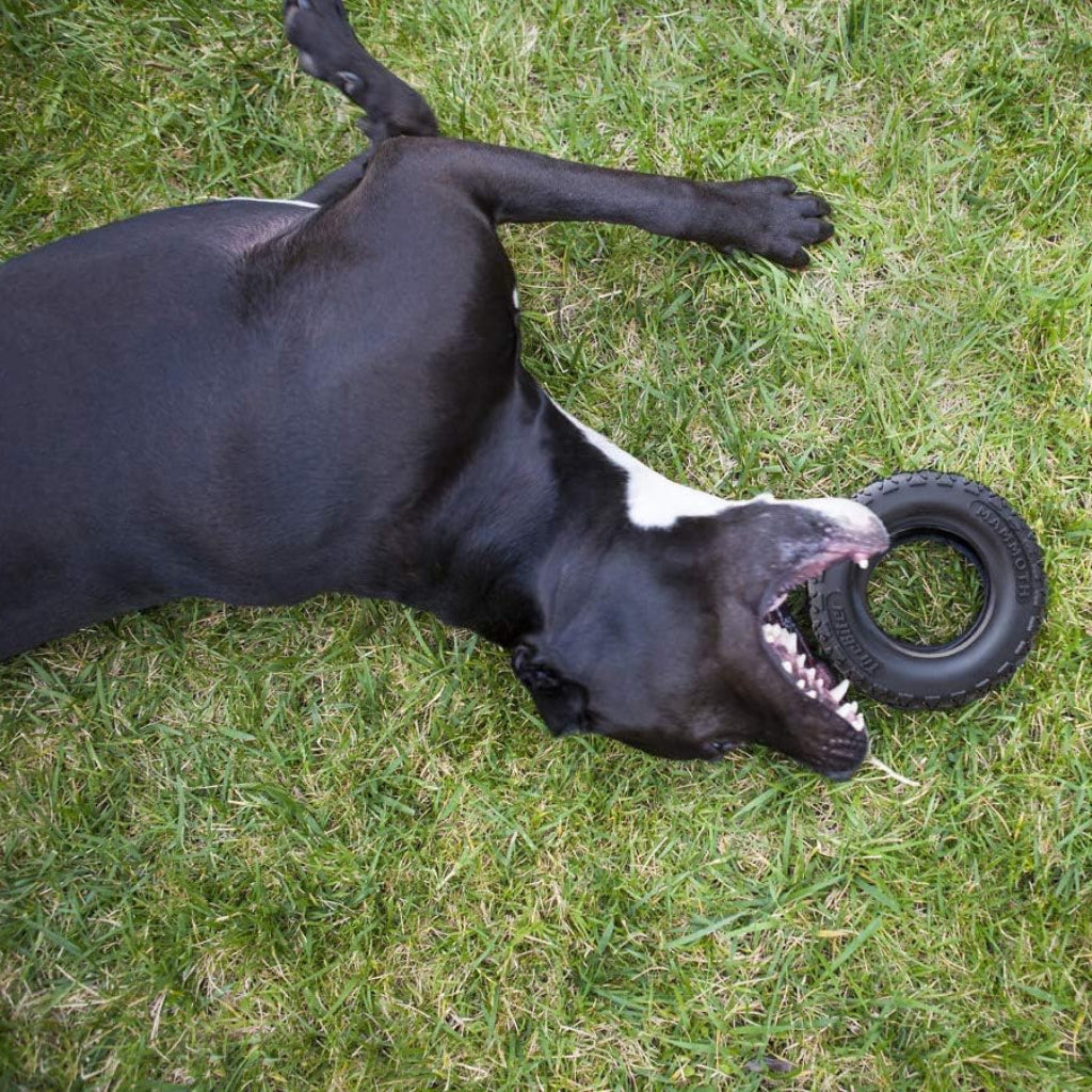 Mammoth TireBiterII – Natural Rubber Dog Toys for Extreme Chewers – Dog Toys for Extra Long Interactive Play – Aggressive Chewer Toys for Large - X-Large Dogs - X-Large 7”
