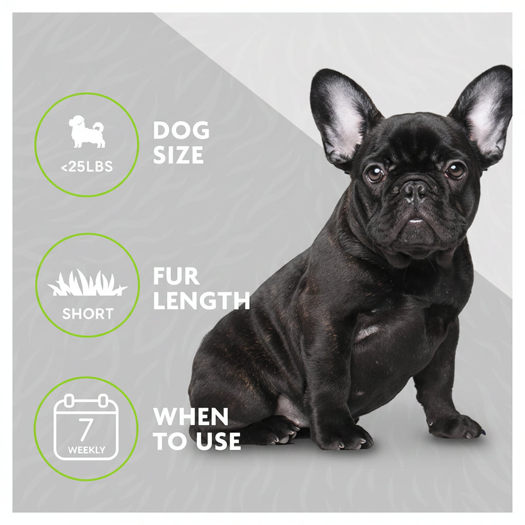 FURminator Small Dog Undercoat deShedding Tool, Short Hair, Reduces Loose Hair from Shedding