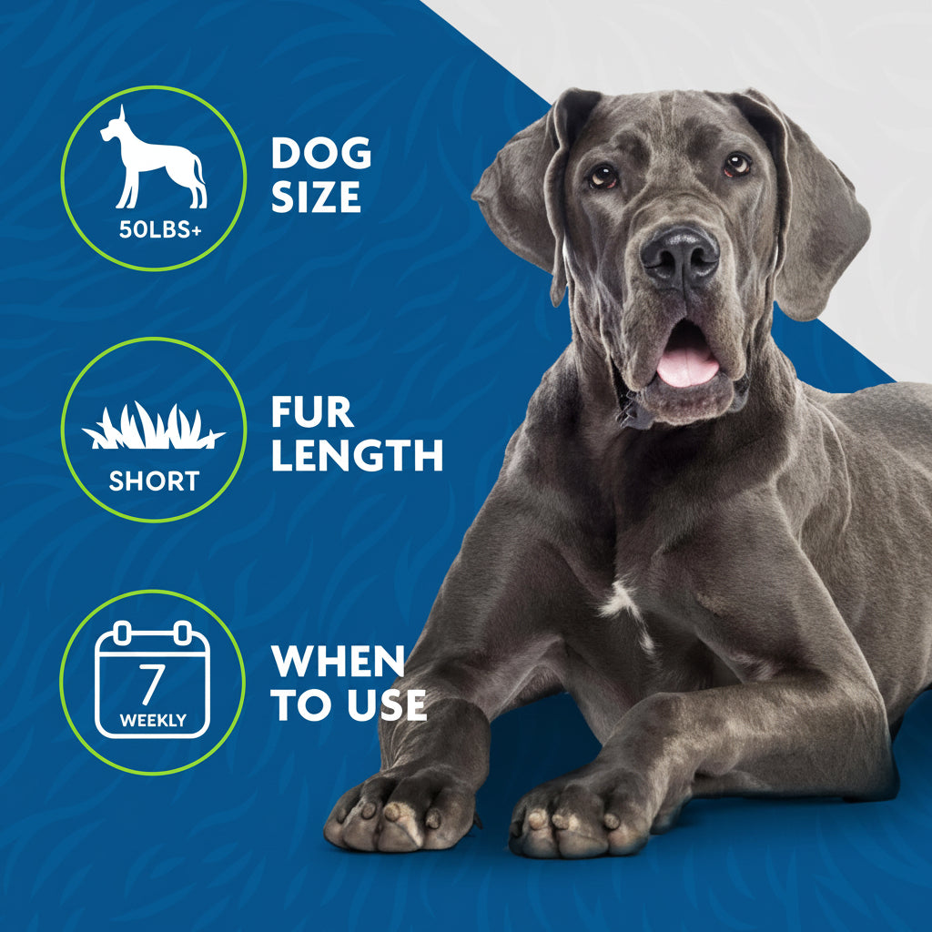 FURminator Large Dog Undercoat deShedding Tool for Short Hair, Reduces Loose Hair From Shedding