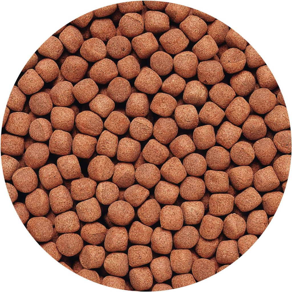 Hikari 8.8-Ounce Cichlid Gold Floating Pellets for Pets, Large