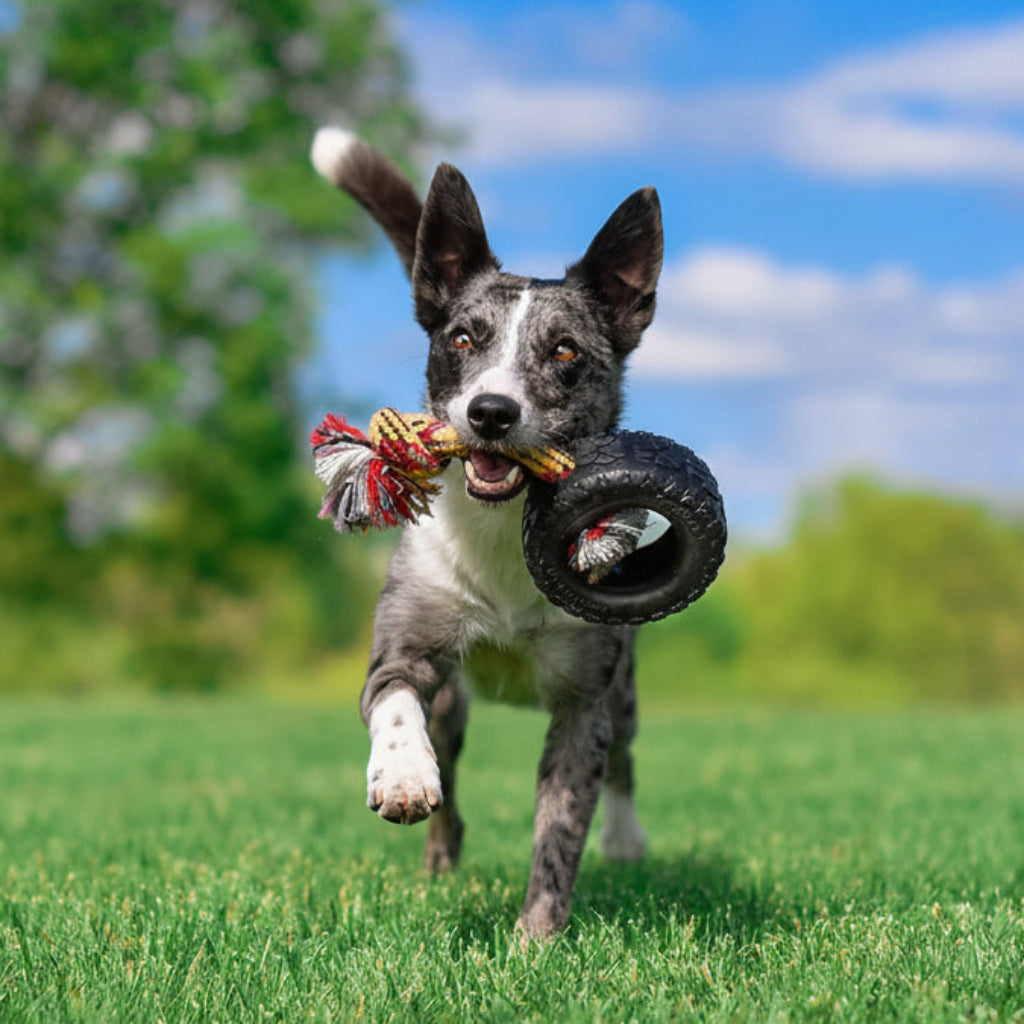 Mammoth TireBiter2 Tug & Toss For Strong Chewers Large Dogs Up To 90-Pounds