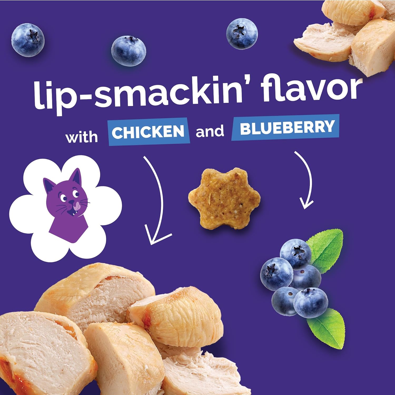 Fruitables Cat Treats, Healthy Treats For Cats, Low Calorie and Packed with Protein, Crunchy Biscuits, No Wheat, Corn or Soy, Made with Real Chicken and Blueberry, 2.5oz ( pack of 2)