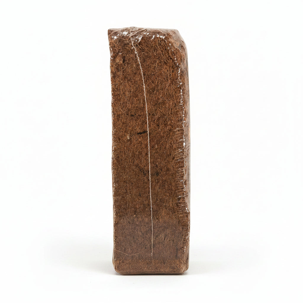 Zoo Med Laboratories SZMEE10 Eco Earth Pet Bed, 1-Brick