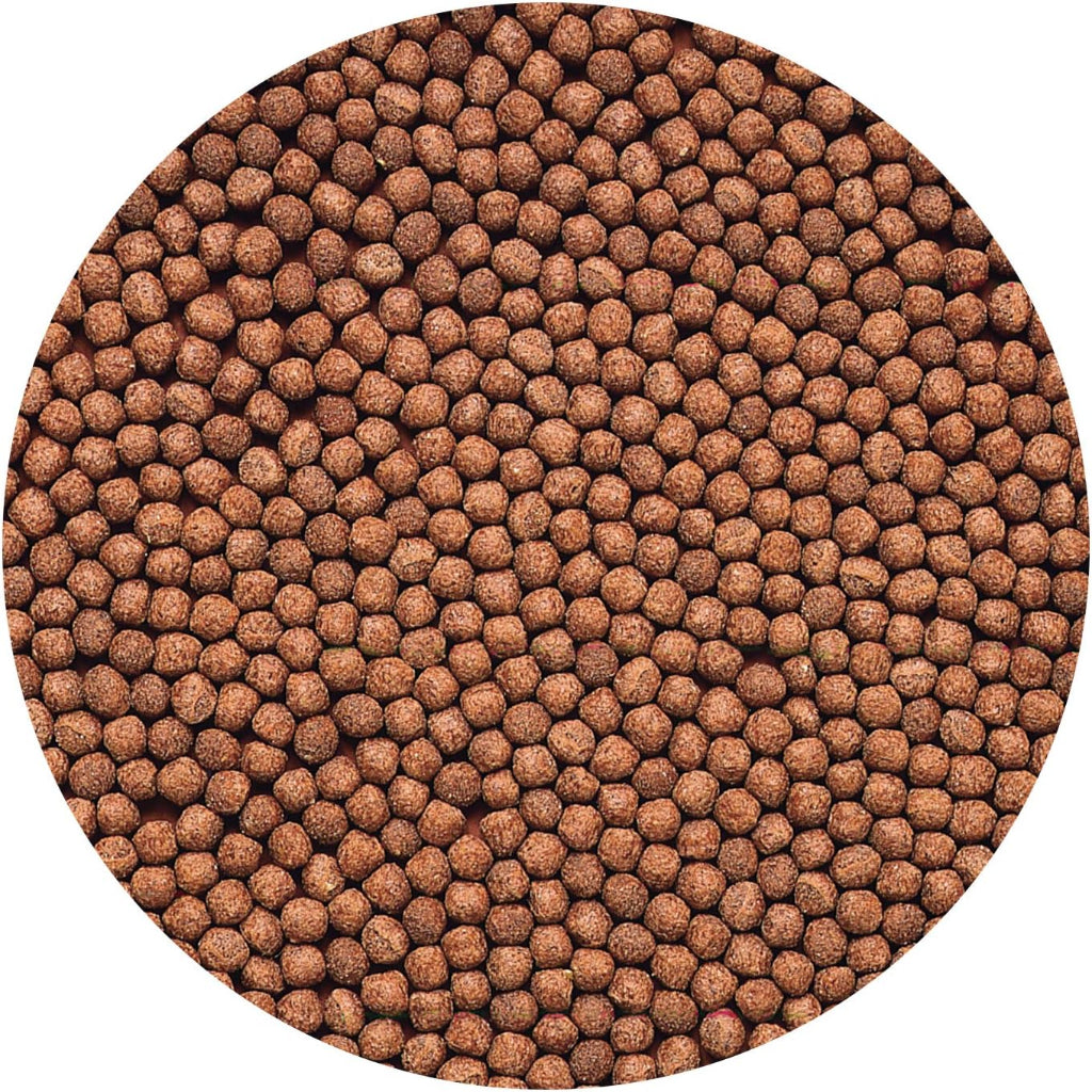 Hikari 8.8-Ounce Cichlid Gold Floating Pellets for Pets, Mini