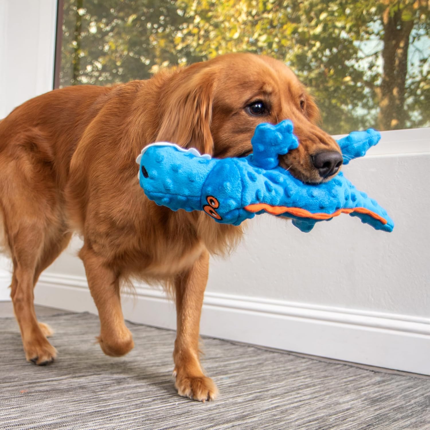 goDog Just For Me Gator with Chew Guard Technology Tough Plush Dog Toy Blue, 1ea/LG