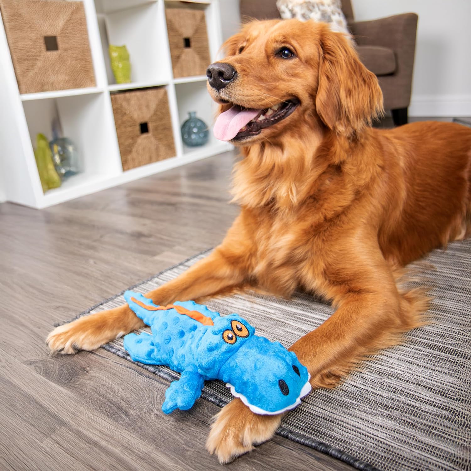goDog Just For Me Gator with Chew Guard Technology Tough Plush Dog Toy Blue, 1ea/LG